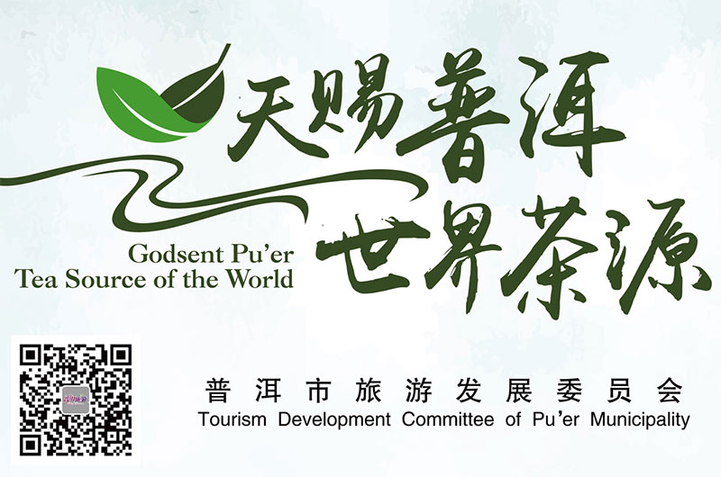 天赐普洱 世界茶源
