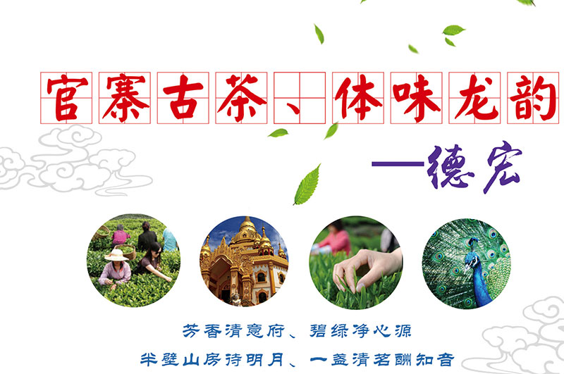 官寨古茶、体味龙韵--德宏