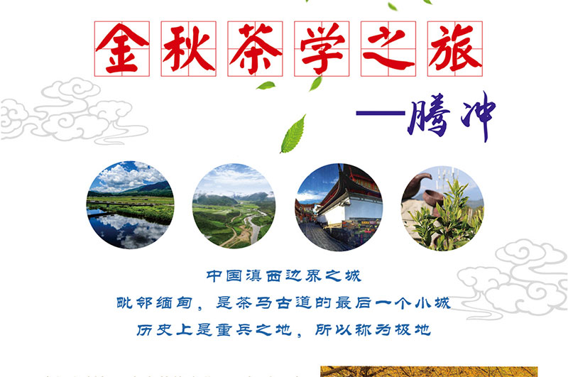 金秋茶学之旅--腾冲